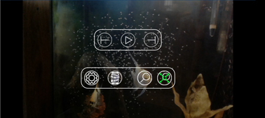 Video Player - Magnified