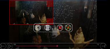Video Player - Magnified