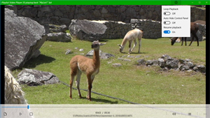 Playlist Video Player